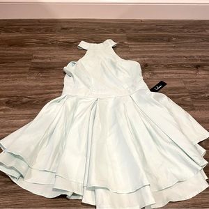 NWT Lulus Skater Dress